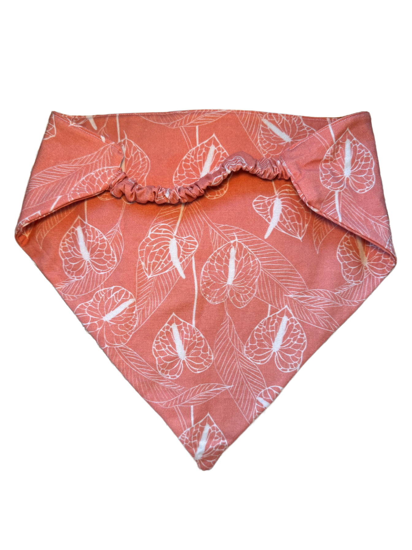 Anthurium Rust Bandanny