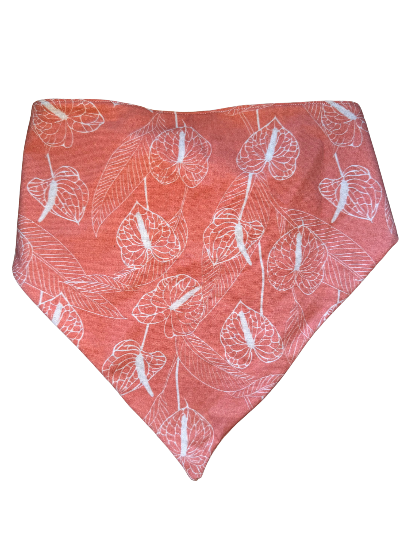 Anthurium Rust Bandanny
